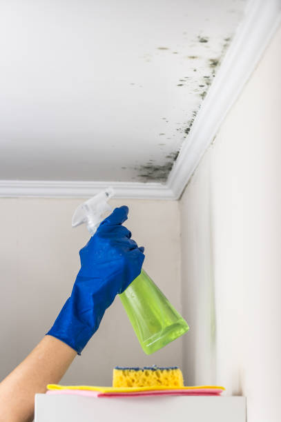 Clarksville, AR Mold Remediation Company